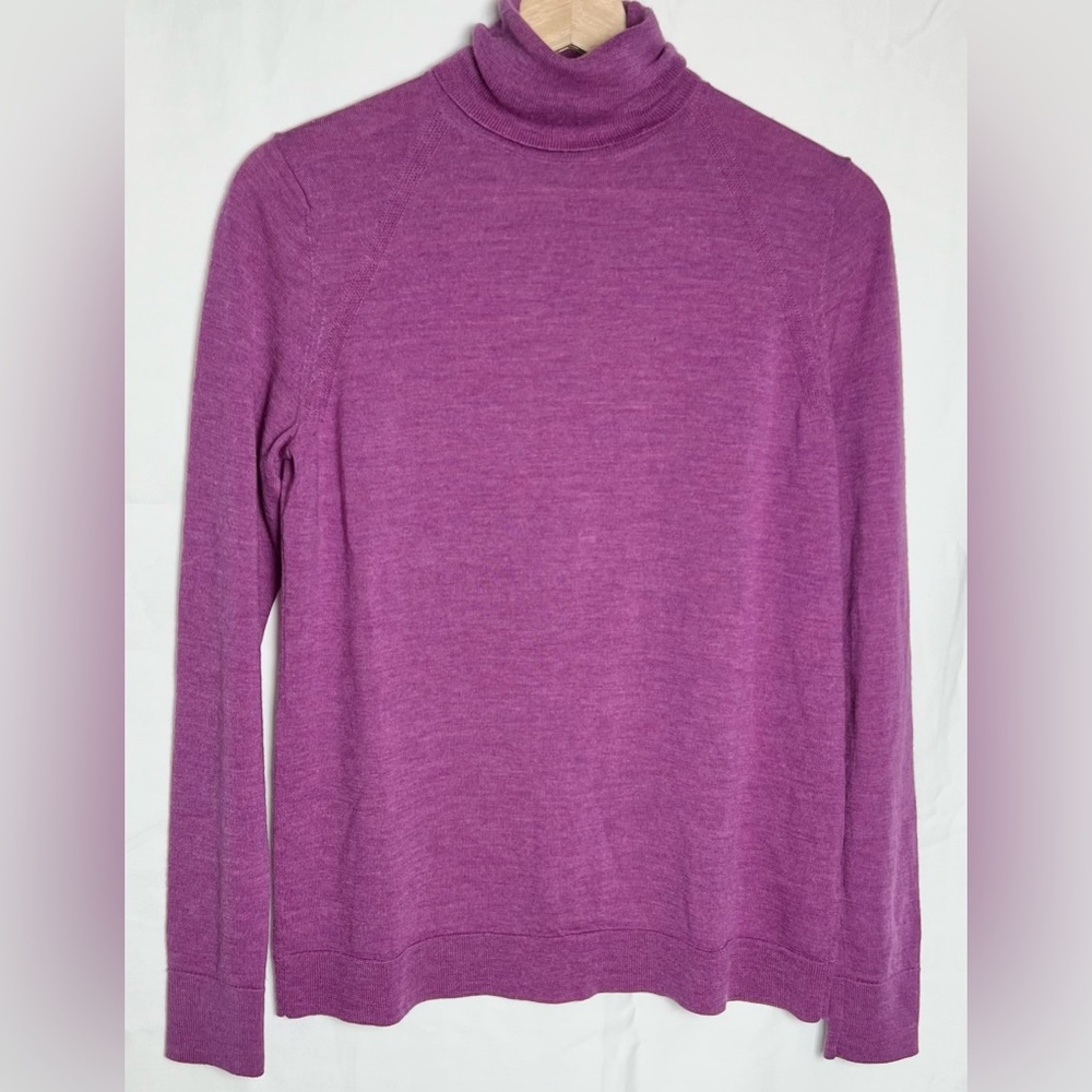 Banana Republic Fine Merino Wool Turtle Neck